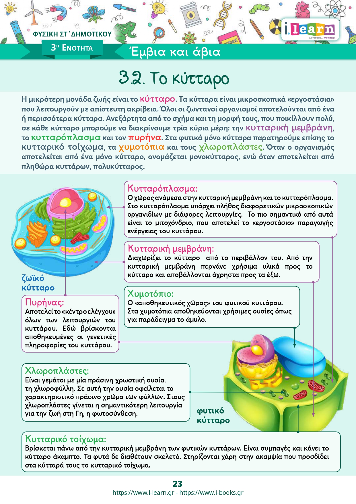 Φυσική Στ΄ δημοτικού τεύχος Β (ebook) - Image 5