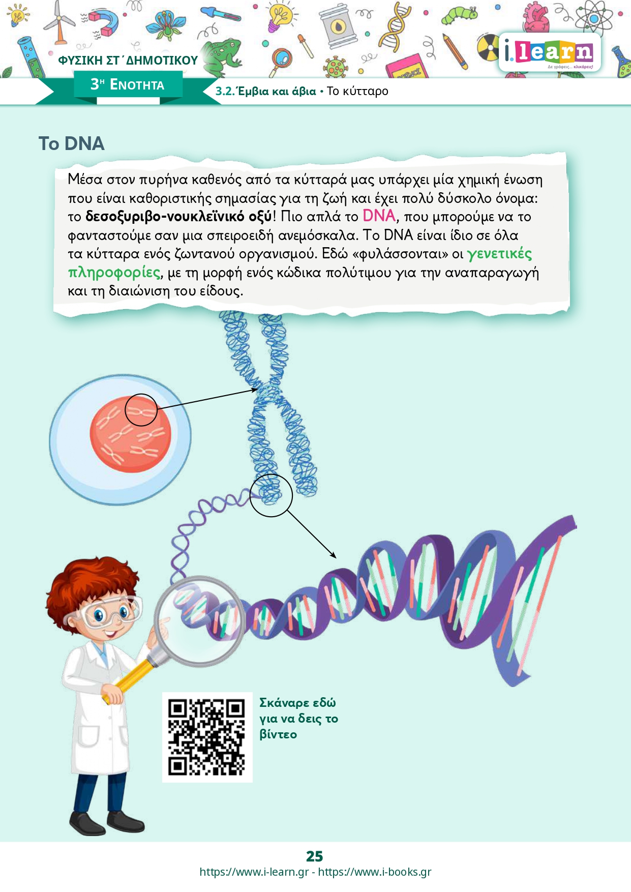 Φυσική Στ΄ δημοτικού τεύχος Β (ebook) - Image 12