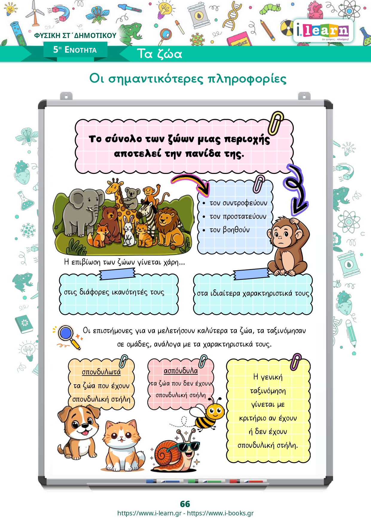 Φυσική Στ΄ δημοτικού τεύχος Β (ebook) - Image 7