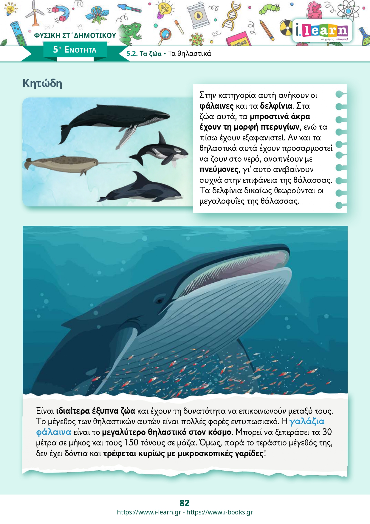 Φυσική Στ΄ δημοτικού τεύχος Β (ebook) - Image 6